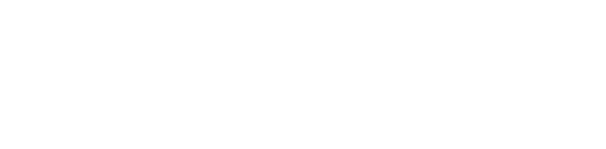Supernetfx Digital